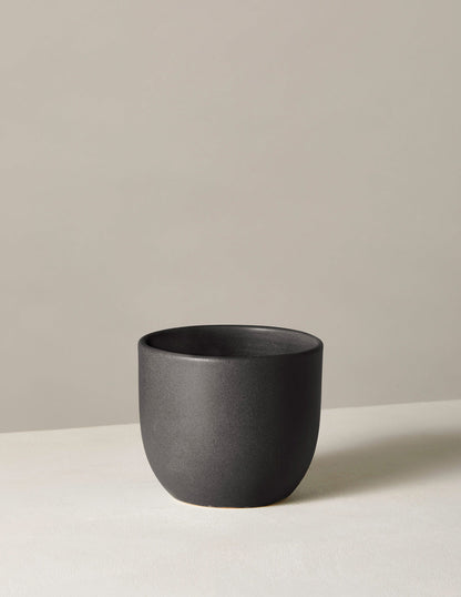  Grant Planter