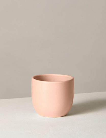  Grant Planter