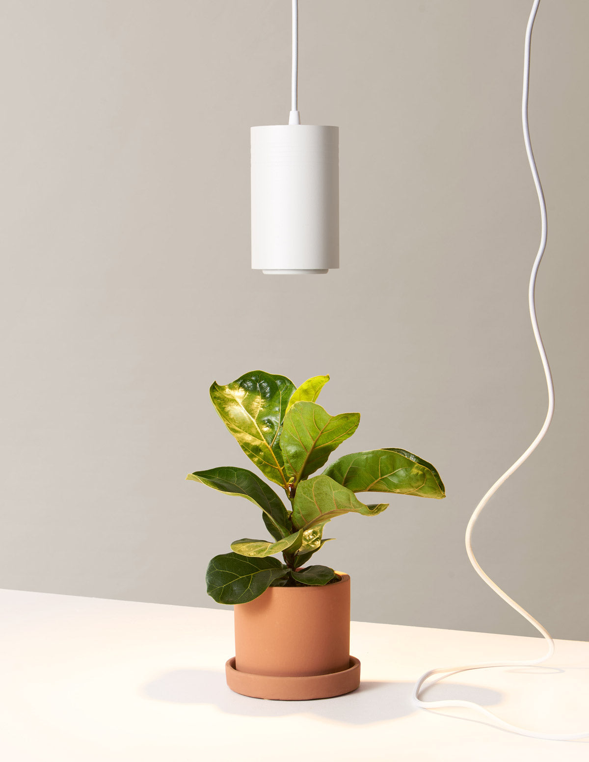  Hanging Grow Light