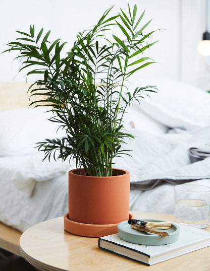  Hyde Planter