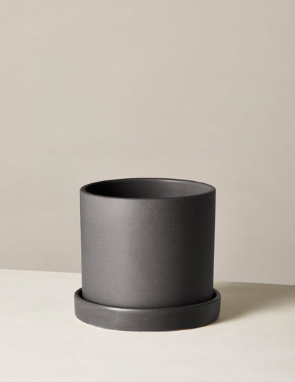  Hyde Planter