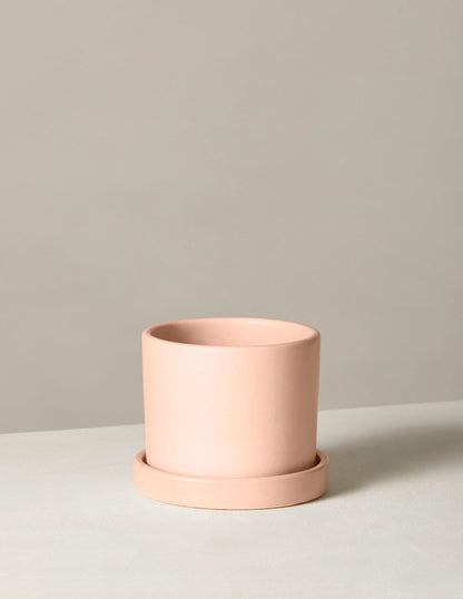  Hyde Planter