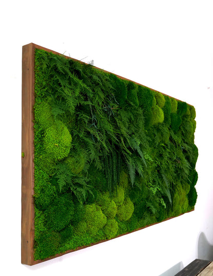  Large Preserved Living Wall 68" X 33"