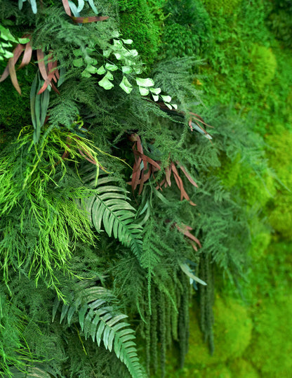  Oversized Preserved Living Wall 68" X 68"