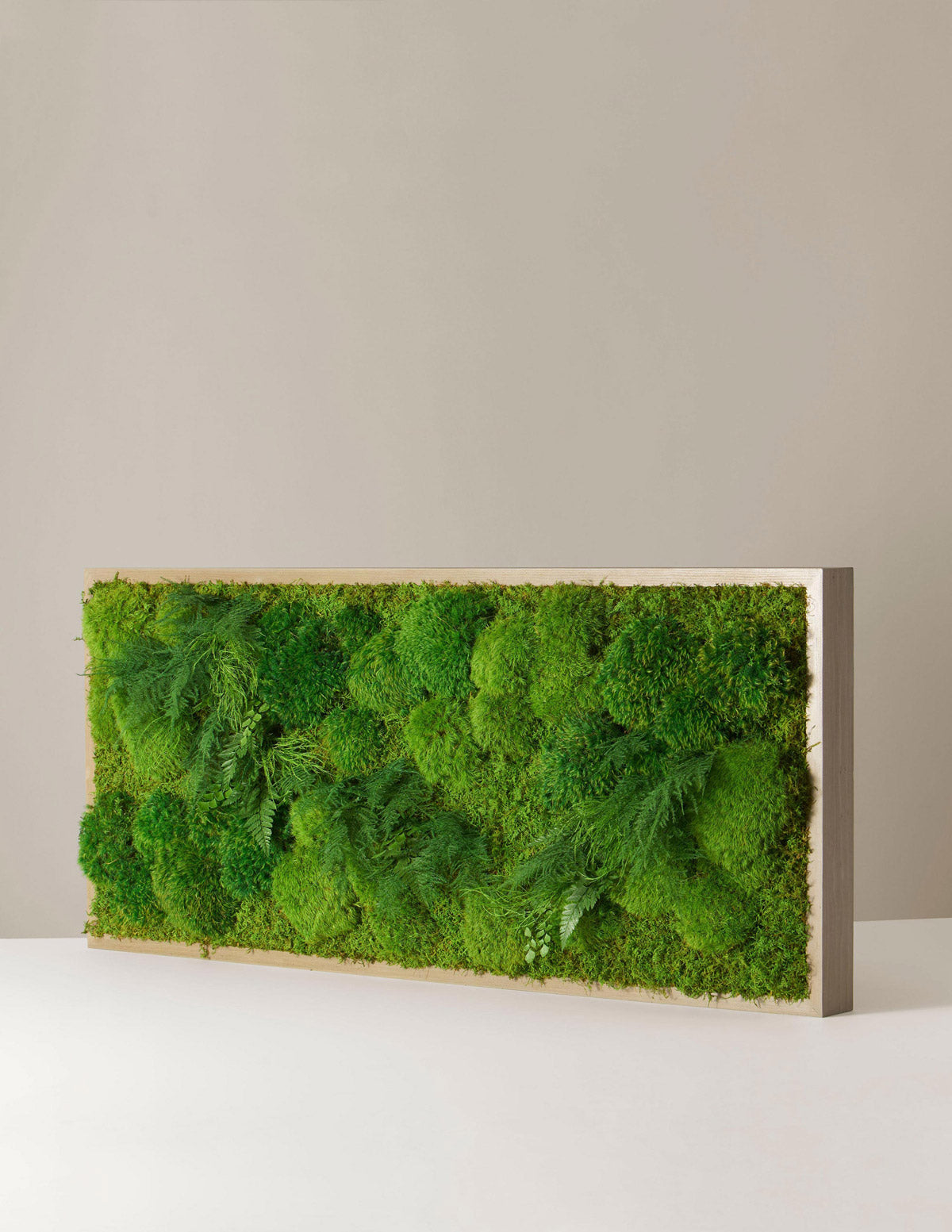  Medium Preserved Living Wall 40" X 18"