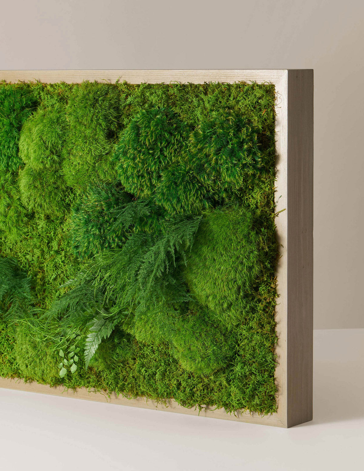  Medium Preserved Living Wall 40" X 18"