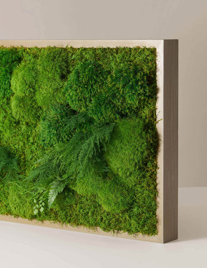  Medium Preserved Living Wall 40" X 18"