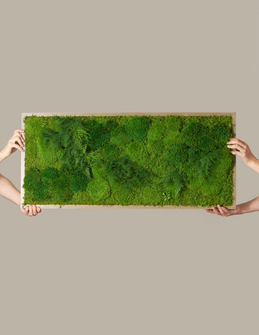  Medium Preserved Living Wall 40" X 18"