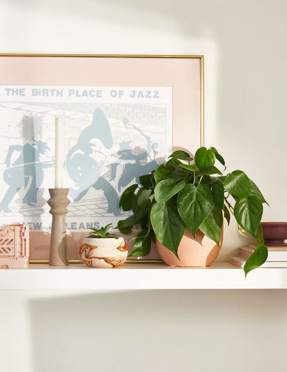  Living Room Duo