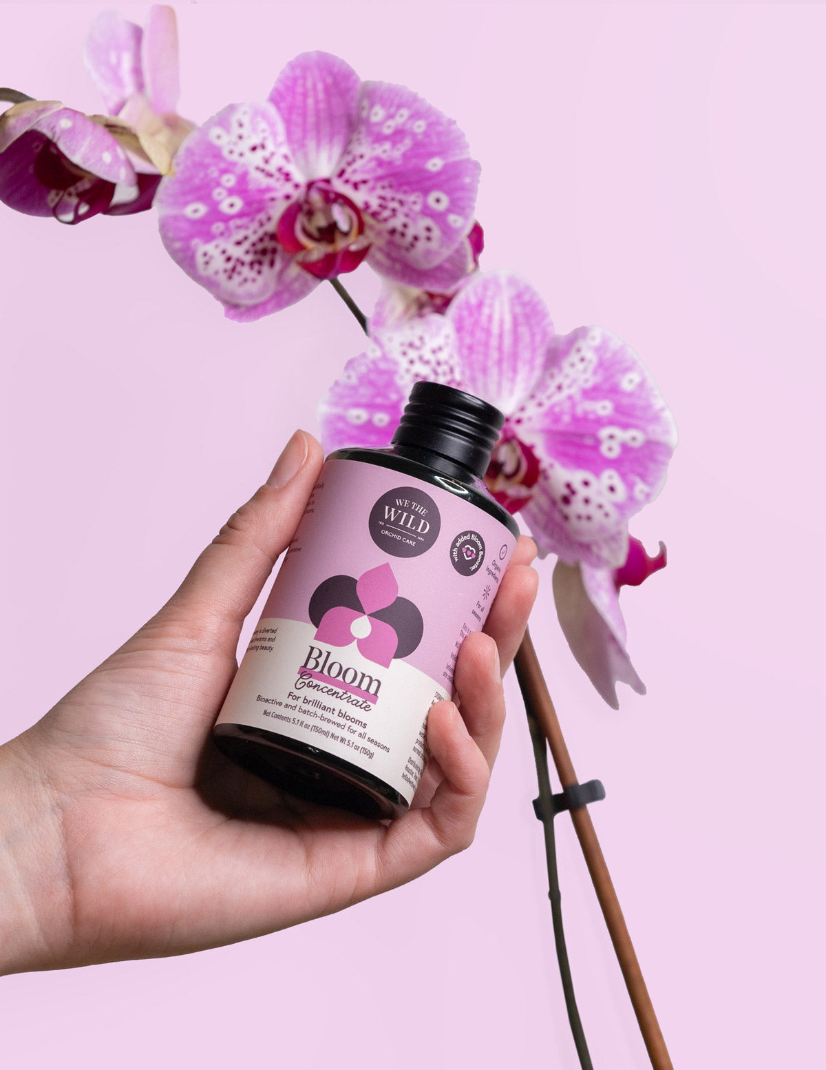  Orchid Care Duo