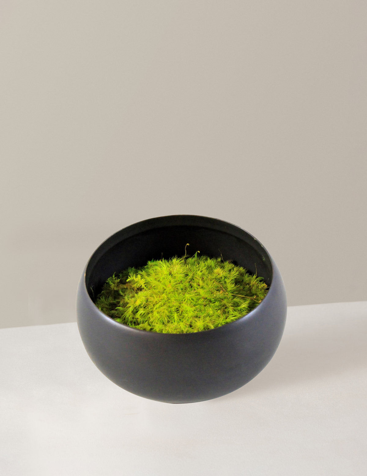 Preserved Moss In Ceramic Bowl