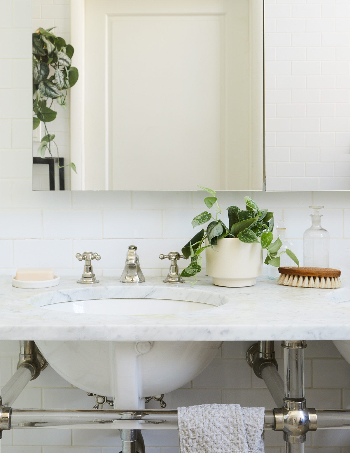  Satin Pothos