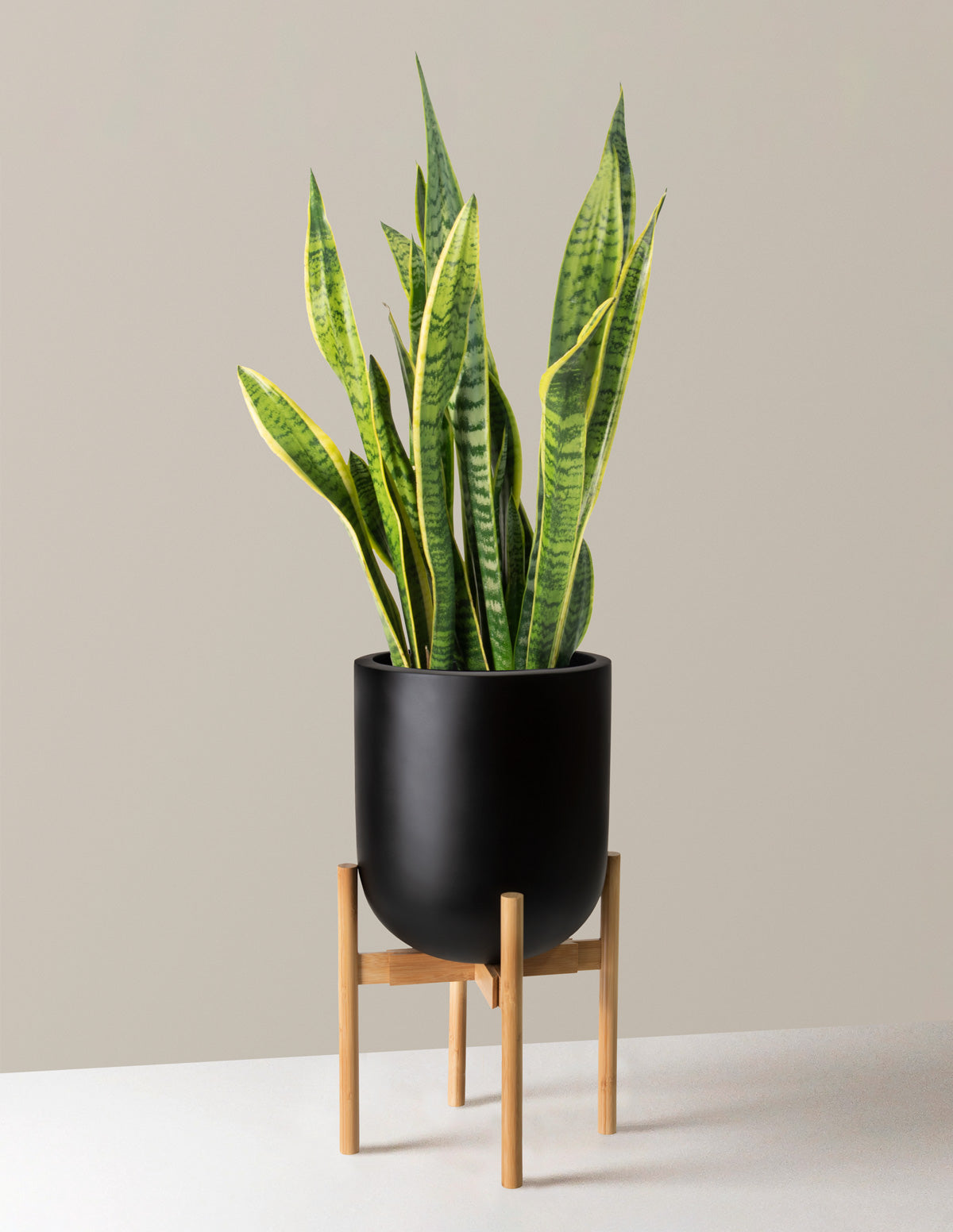  Adjustable Plant Stand