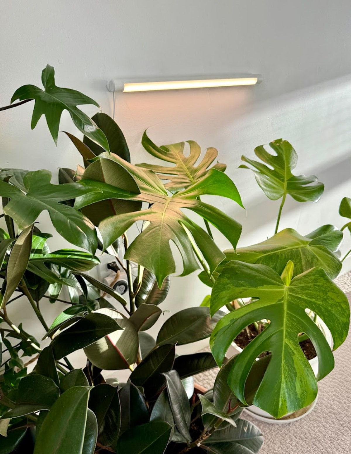  Grove Bar Light