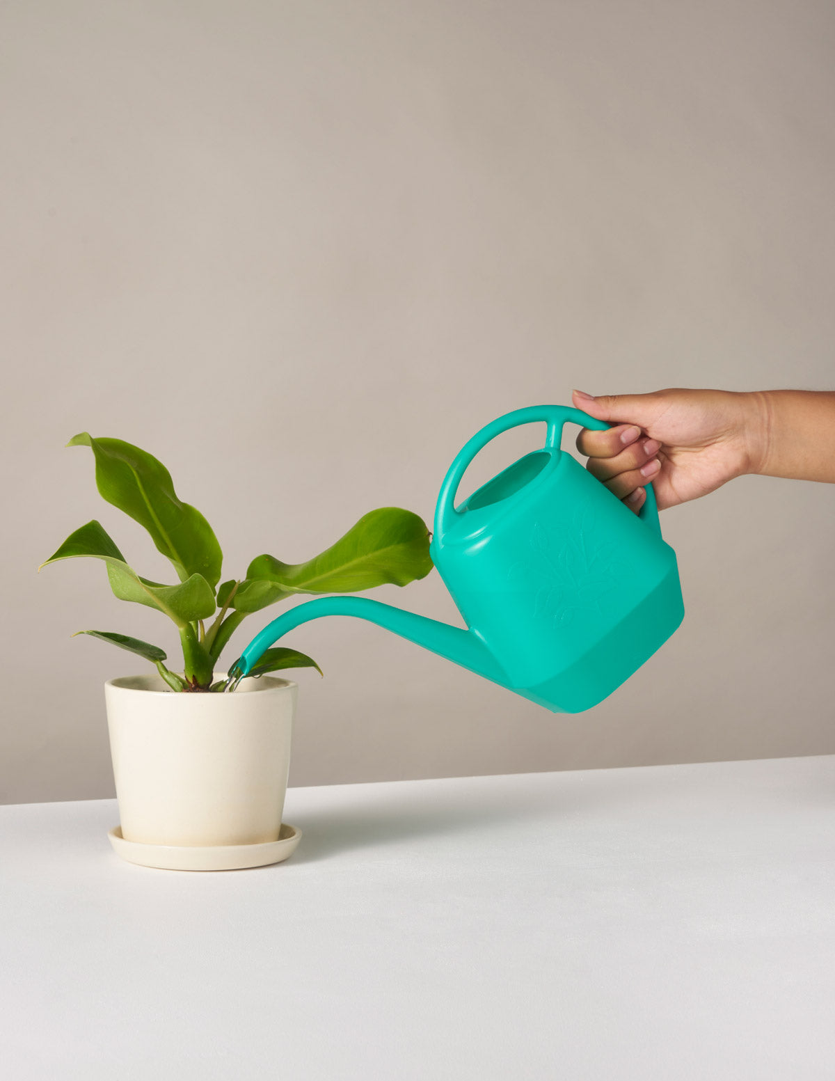  Watering Can