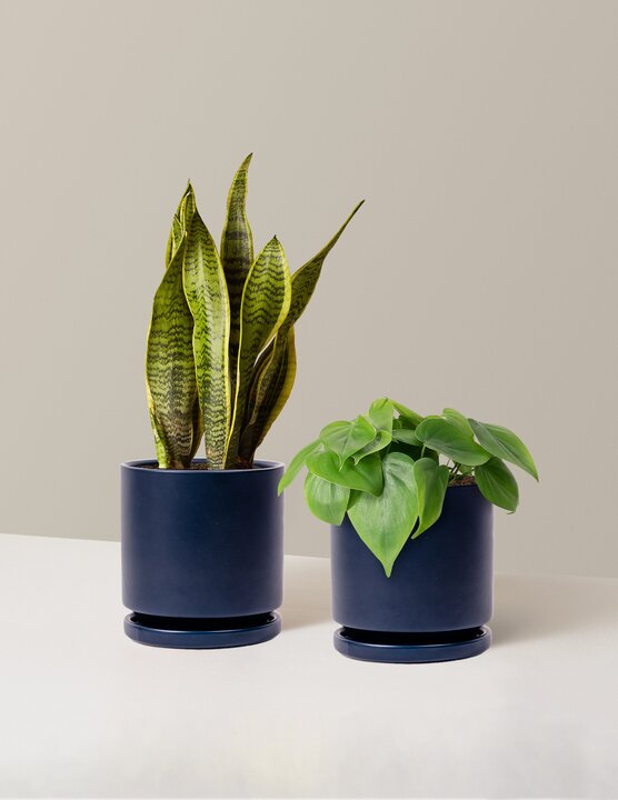  Living Room Duo