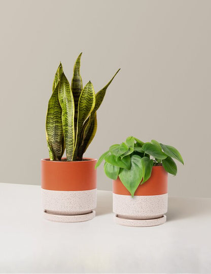  Living Room Duo